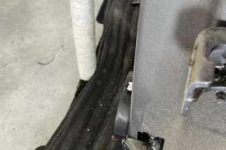 Porte arriere gauche RENAULT CLIO 4