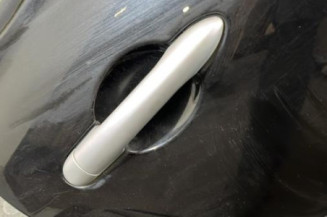 Porte arriere droit RENAULT CLIO 3