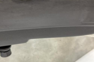 Porte arriere droit RENAULT CLIO 3