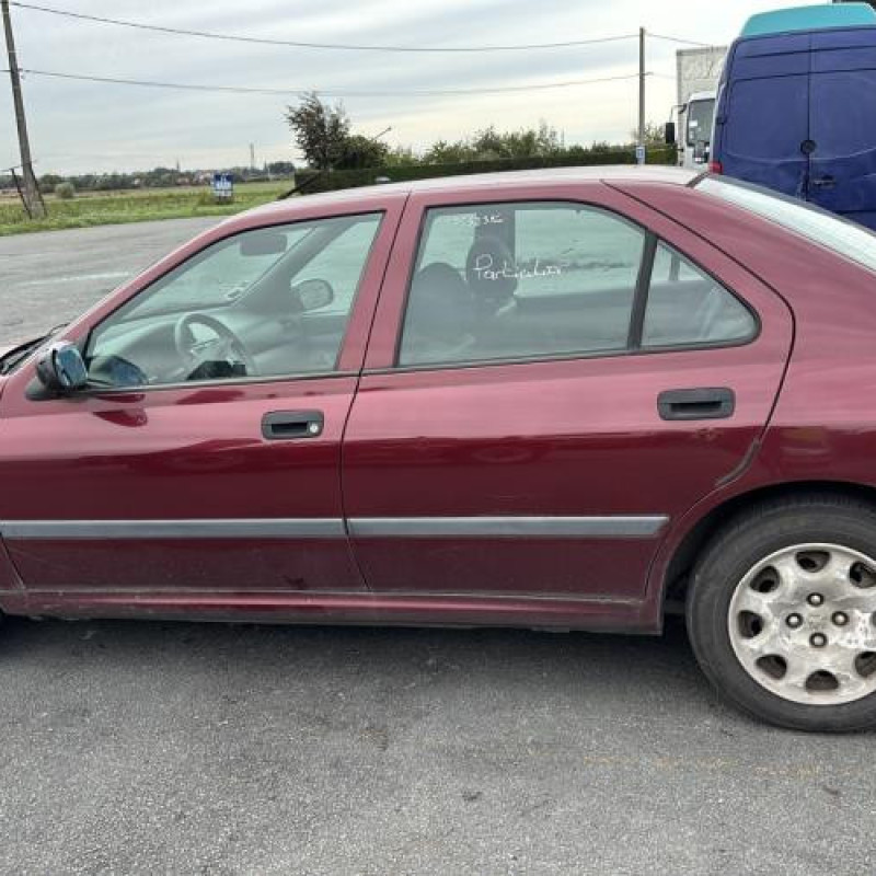 Porte arriere droit PEUGEOT 406 Photo n°12