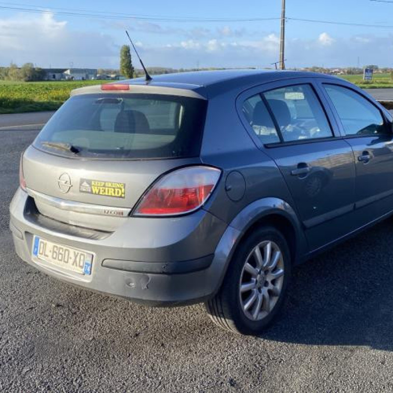 Porte arriere gauche OPEL ASTRA H Photo n°10