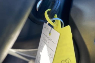 Porte arriere gauche OPEL ASTRA H