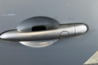 Porte arriere gauche RENAULT SCENIC 2