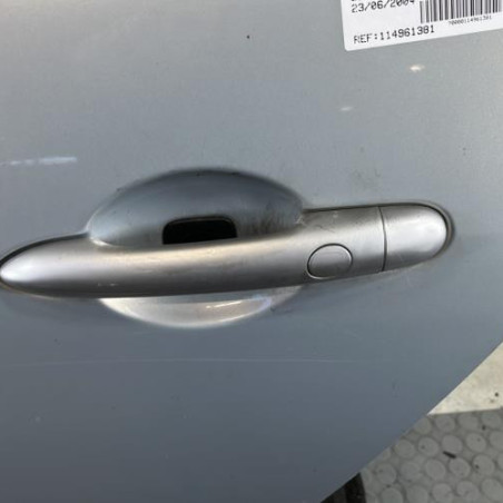 Porte arriere gauche RENAULT SCENIC 2