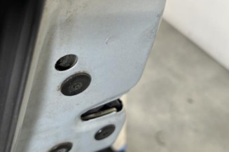 Porte arriere gauche RENAULT SCENIC 2