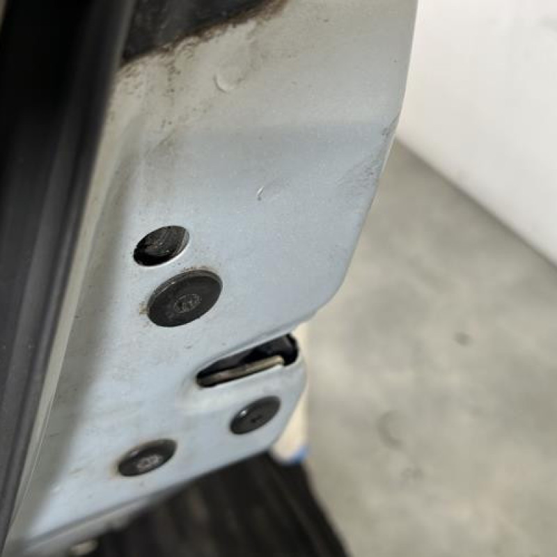 Porte arriere gauche RENAULT SCENIC 2 Photo n°3