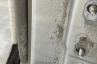 Porte arriere gauche RENAULT SCENIC 2