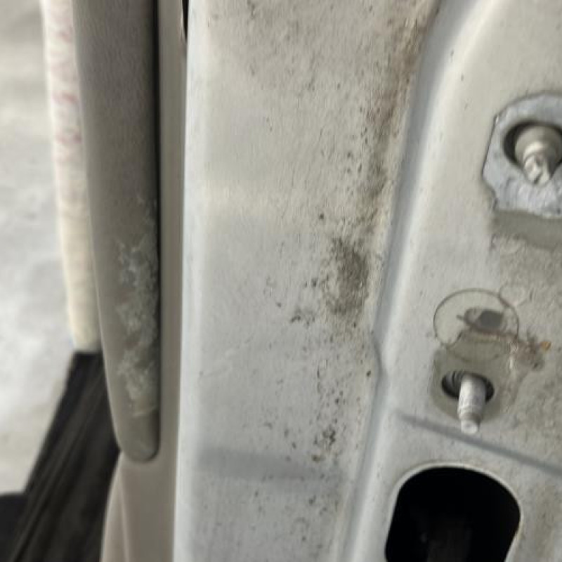 Porte arriere gauche RENAULT SCENIC 2 Photo n°4