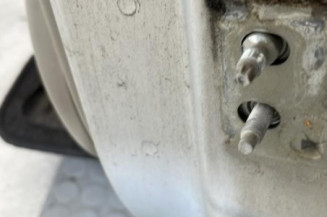 Porte arriere gauche RENAULT SCENIC 2