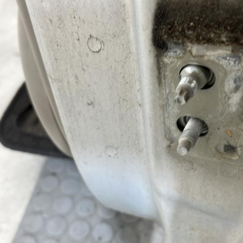 Porte arriere gauche RENAULT SCENIC 2 Photo n°5