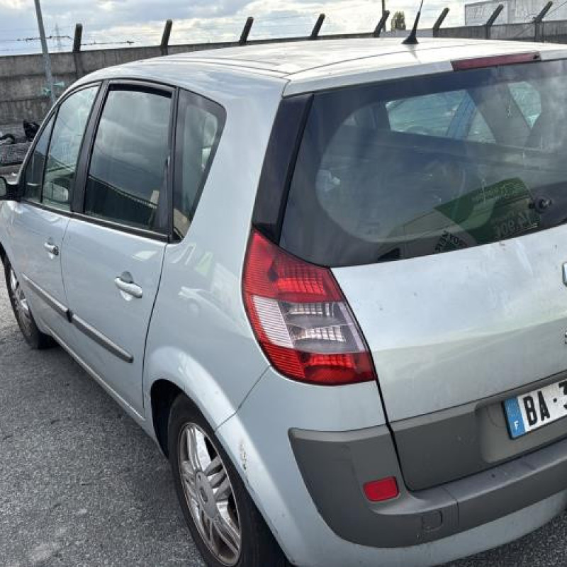 Porte arriere gauche RENAULT SCENIC 2 Photo n°10