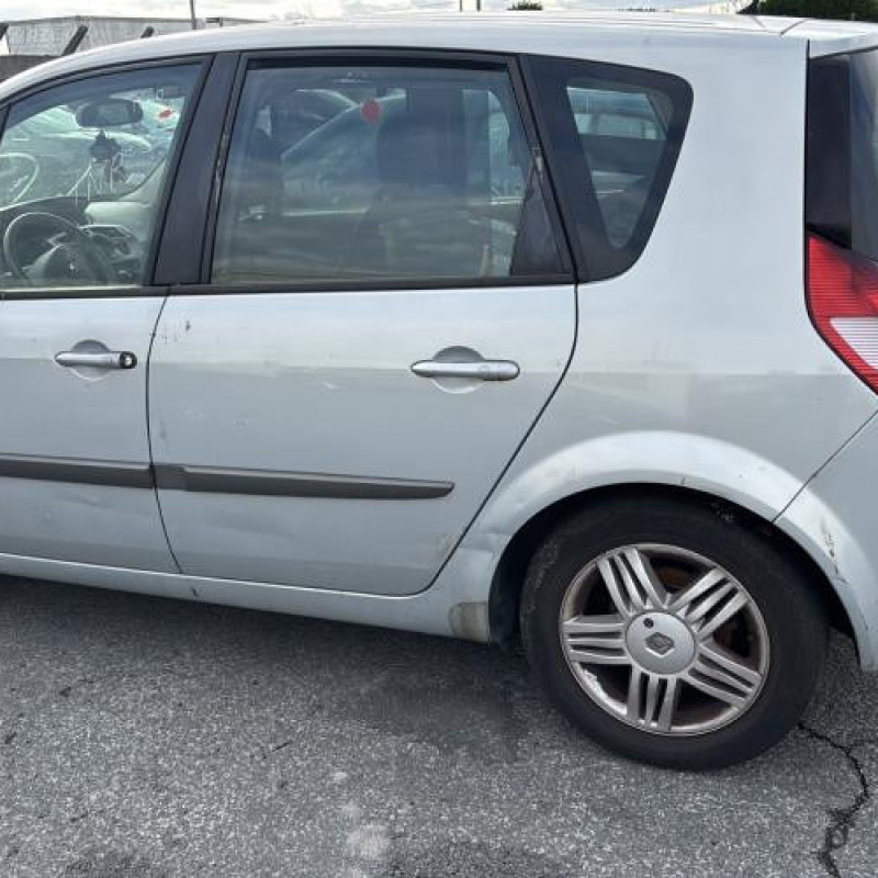 Porte arriere gauche RENAULT SCENIC 2 Photo n°12