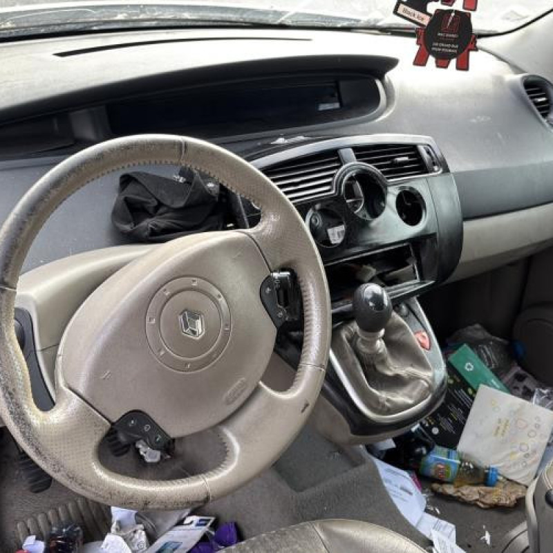 Porte arriere gauche RENAULT SCENIC 2 Photo n°20