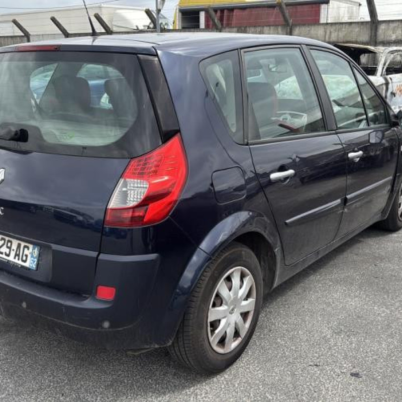 Poignee interieur arriere gauche RENAULT SCENIC 2 Photo n°13