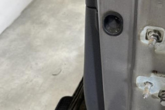 Porte avant gauche RENAULT CLIO 3