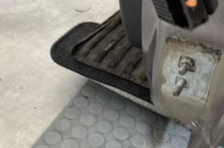 Porte avant gauche RENAULT CLIO 3