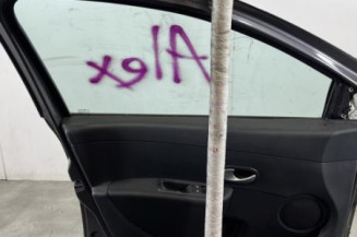 Porte avant gauche RENAULT CLIO 3