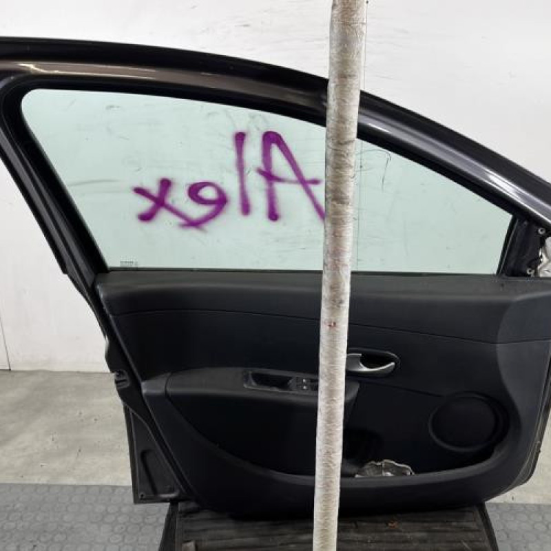 Porte avant gauche RENAULT CLIO 3 Photo n°6