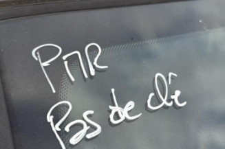 Porte avant gauche RENAULT CLIO 3