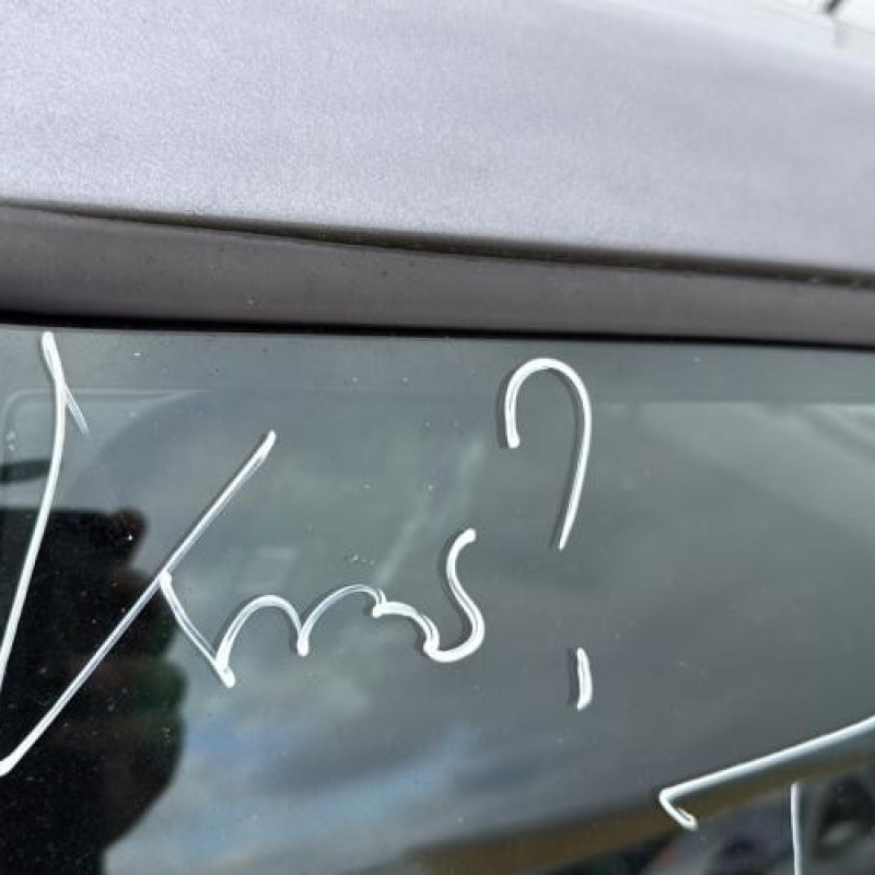 Porte avant gauche RENAULT CLIO 3 Photo n°18