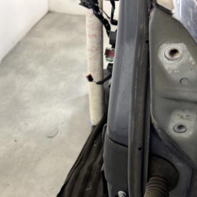 Porte avant gauche FORD FIESTA 6 Photo n°4