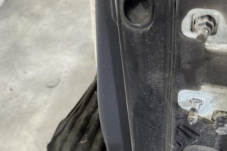 Porte avant gauche RENAULT CLIO 3