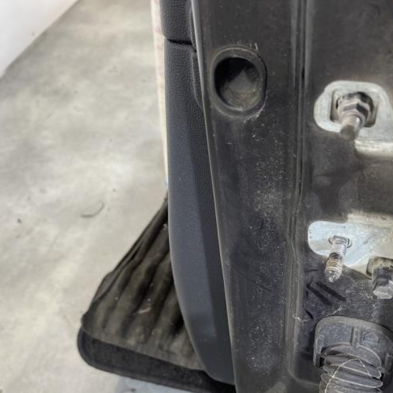 Porte avant gauche RENAULT CLIO 3 Photo n°4