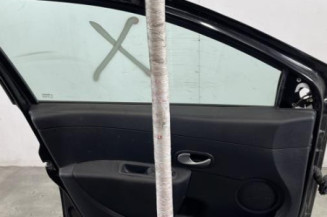 Porte avant gauche RENAULT CLIO 3