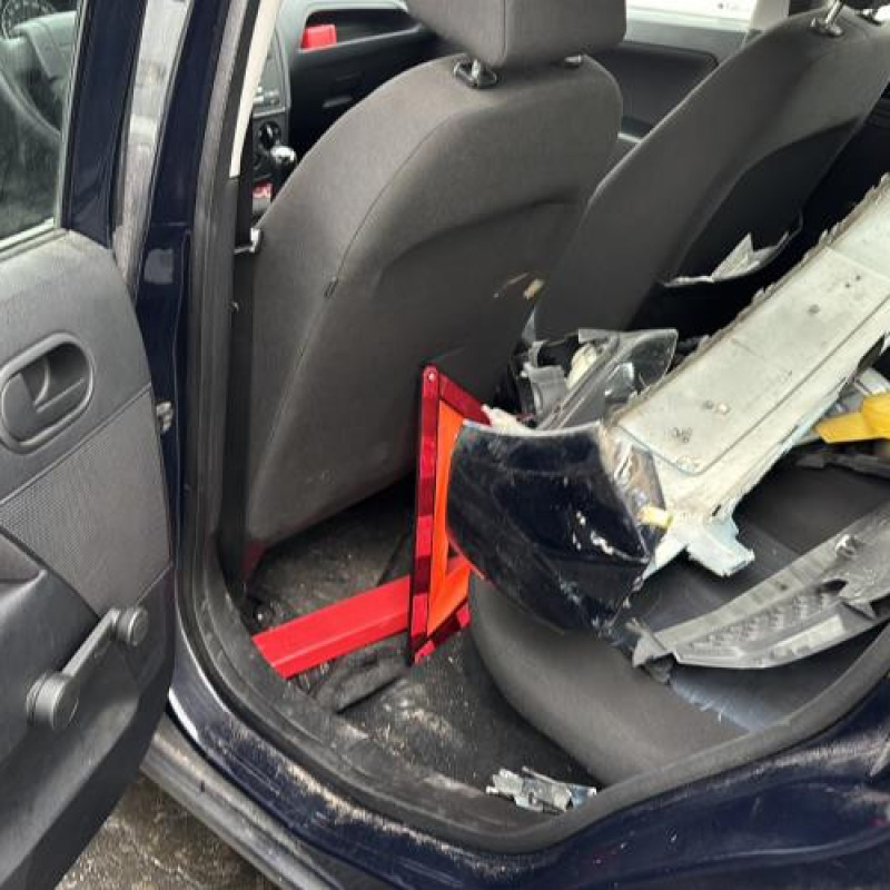 Porte avant gauche FORD FIESTA 5 Photo n°14