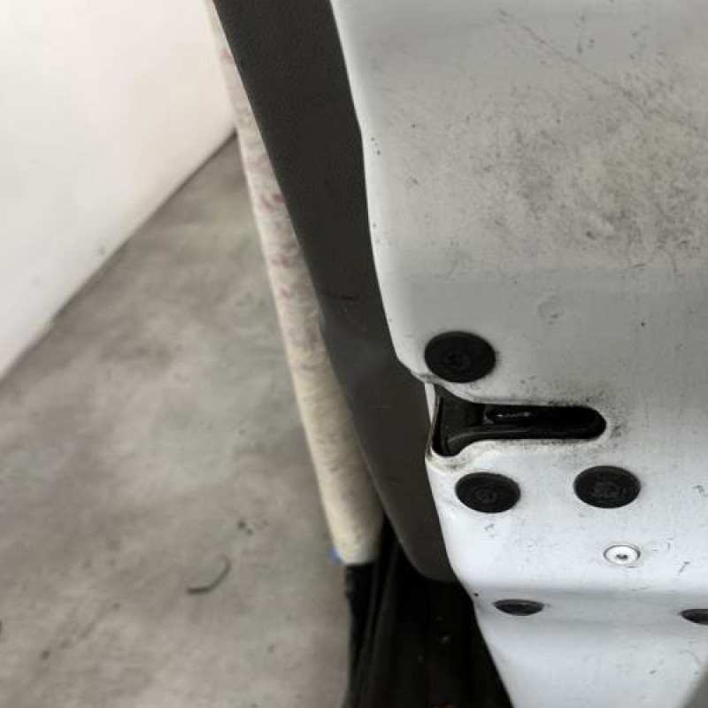 Porte avant droit RENAULT MEGANE 3 Photo n°5