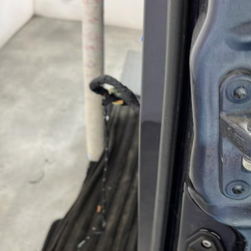 Porte avant gauche MERCEDES CLASSE R 251 Photo n°4