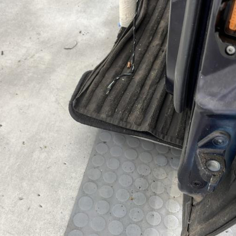 Porte avant gauche MERCEDES CLASSE R 251 Photo n°5