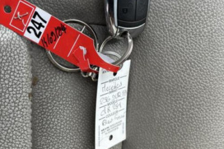 Porte avant gauche MERCEDES CLASSE R 251