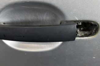 Porte avant gauche VOLKSWAGEN GOLF 4