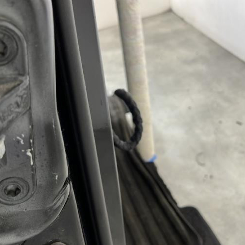 Porte avant droit MERCEDES CLASSE R 251 Photo n°2