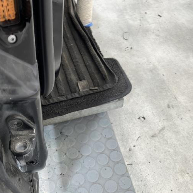 Porte avant droit MERCEDES CLASSE R 251 Photo n°3