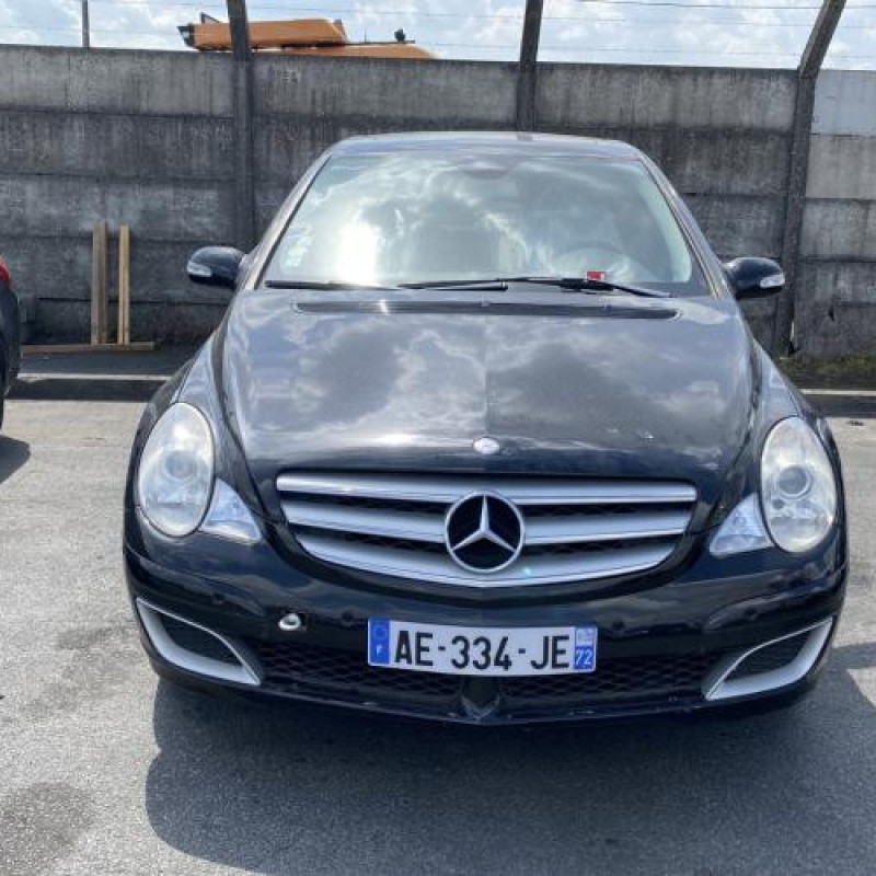 Porte avant droit MERCEDES CLASSE R 251 Photo n°10