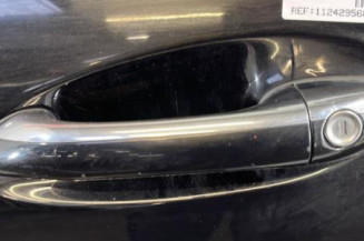 Porte avant gauche MERCEDES CLASSE R 251