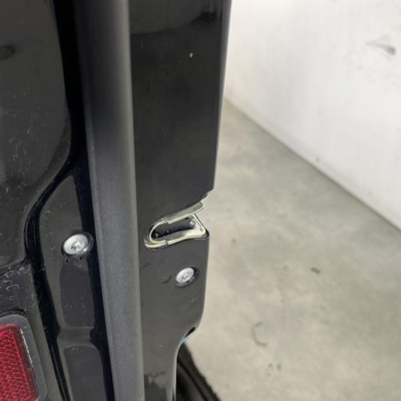 Porte avant gauche MERCEDES CLASSE R 251 Photo n°4