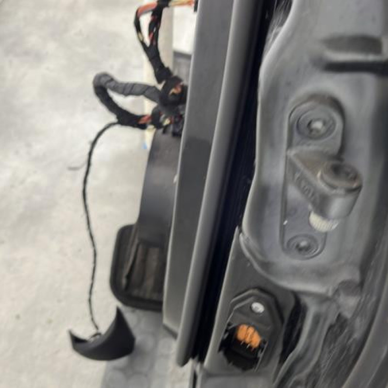 Porte avant gauche MERCEDES CLASSE R 251 Photo n°5