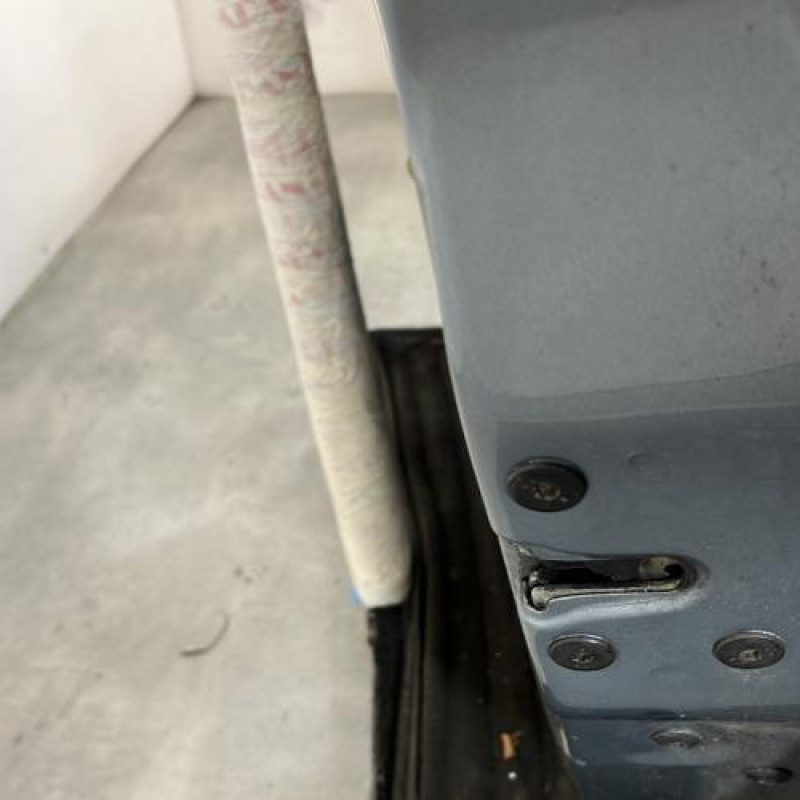 Porte avant droit DACIA SANDERO 1 Photo n°3