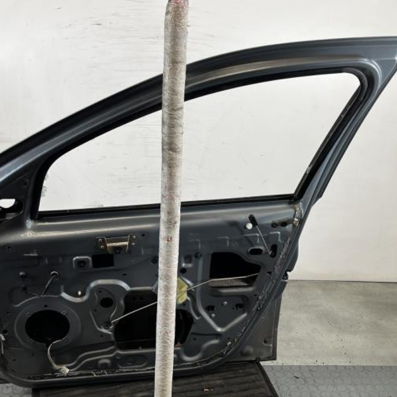 Porte avant droit DACIA SANDERO 1 Photo n°6