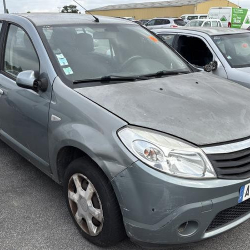 Porte avant droit DACIA SANDERO 1 Photo n°8