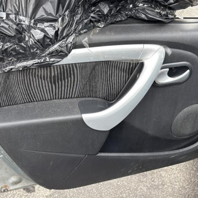 Porte avant droit DACIA SANDERO 1 Photo n°15