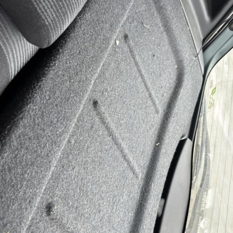 Porte avant droit DACIA SANDERO 1 Photo n°18