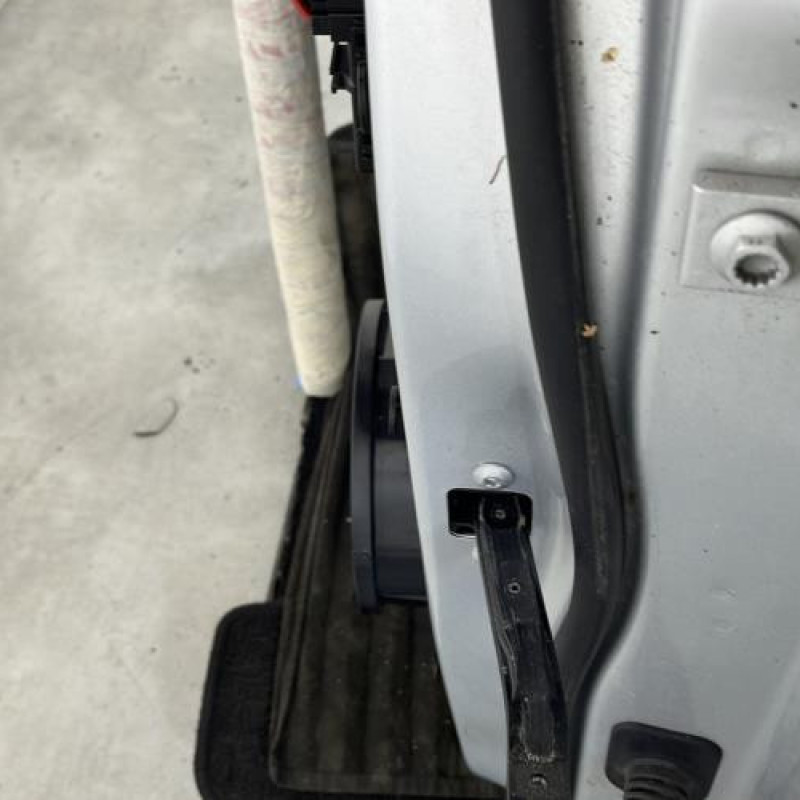 Porte avant gauche VOLKSWAGEN TOURAN 3 Photo n°4