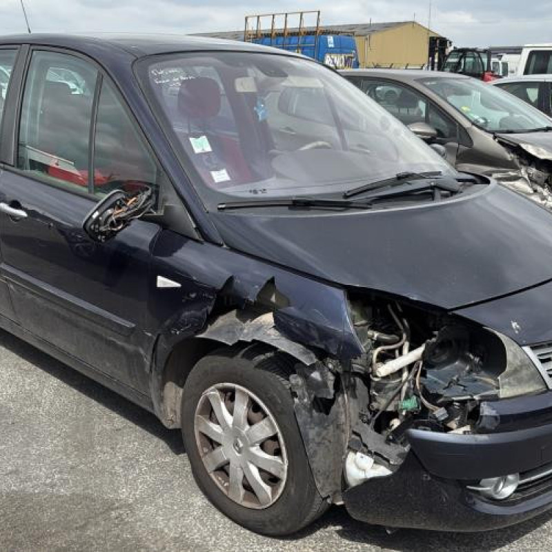 Poignee porte arriere gauche RENAULT SCENIC 2 Photo n°12