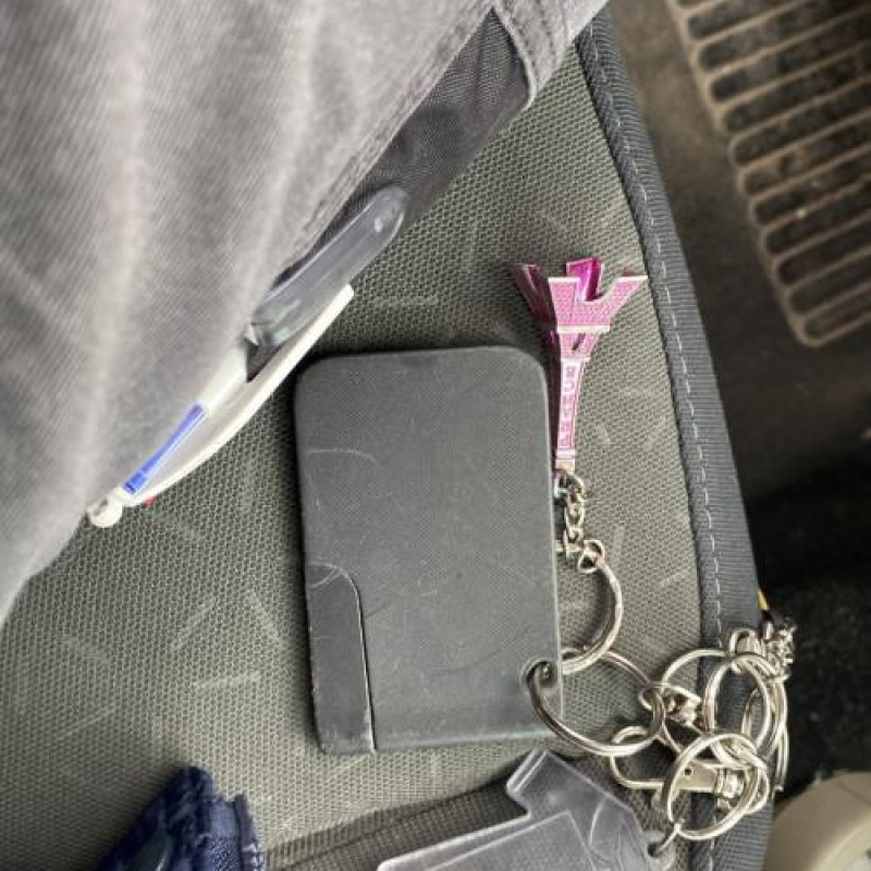 Porte arriere droit RENAULT SCENIC 2 Photo n°10