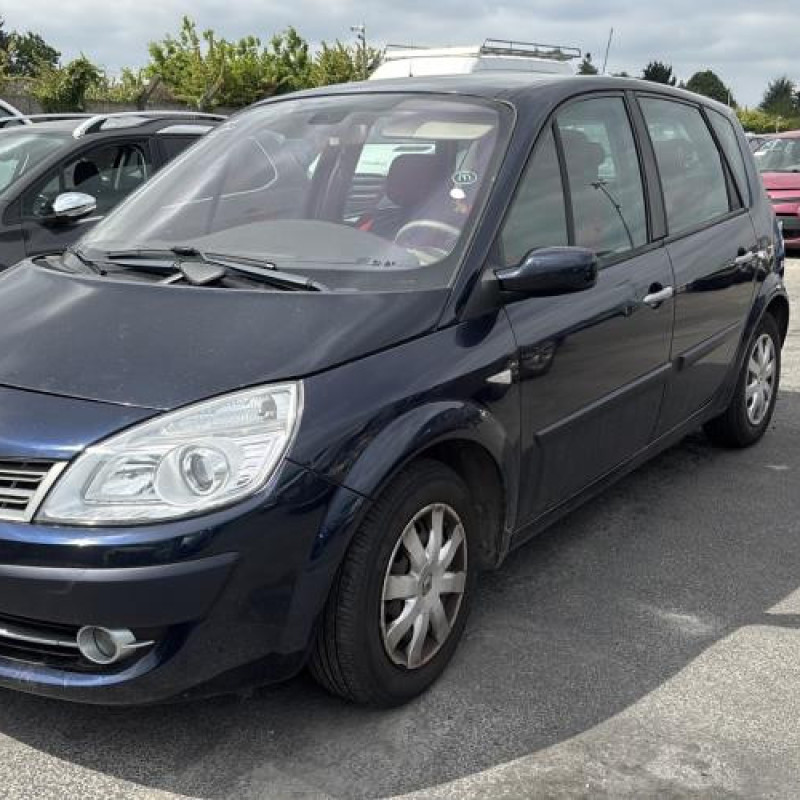 Porte avant droit RENAULT SCENIC 2 Photo n°11