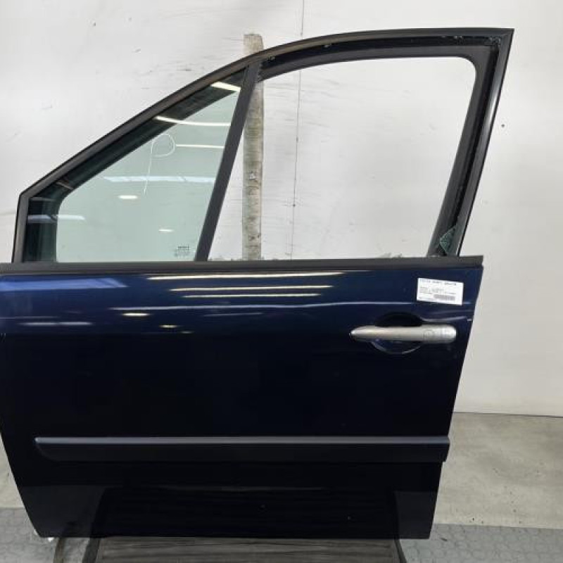 Porte avant gauche RENAULT SCENIC 2 Photo n°1